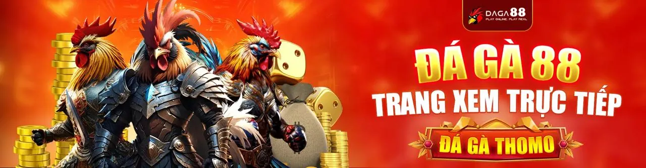 Tổng quan về các điều khoản và điều kiện của bet89